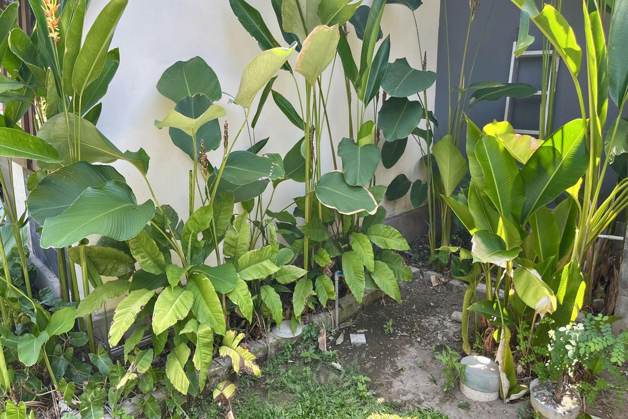 Mai Guest House Sanur Bagian luar foto