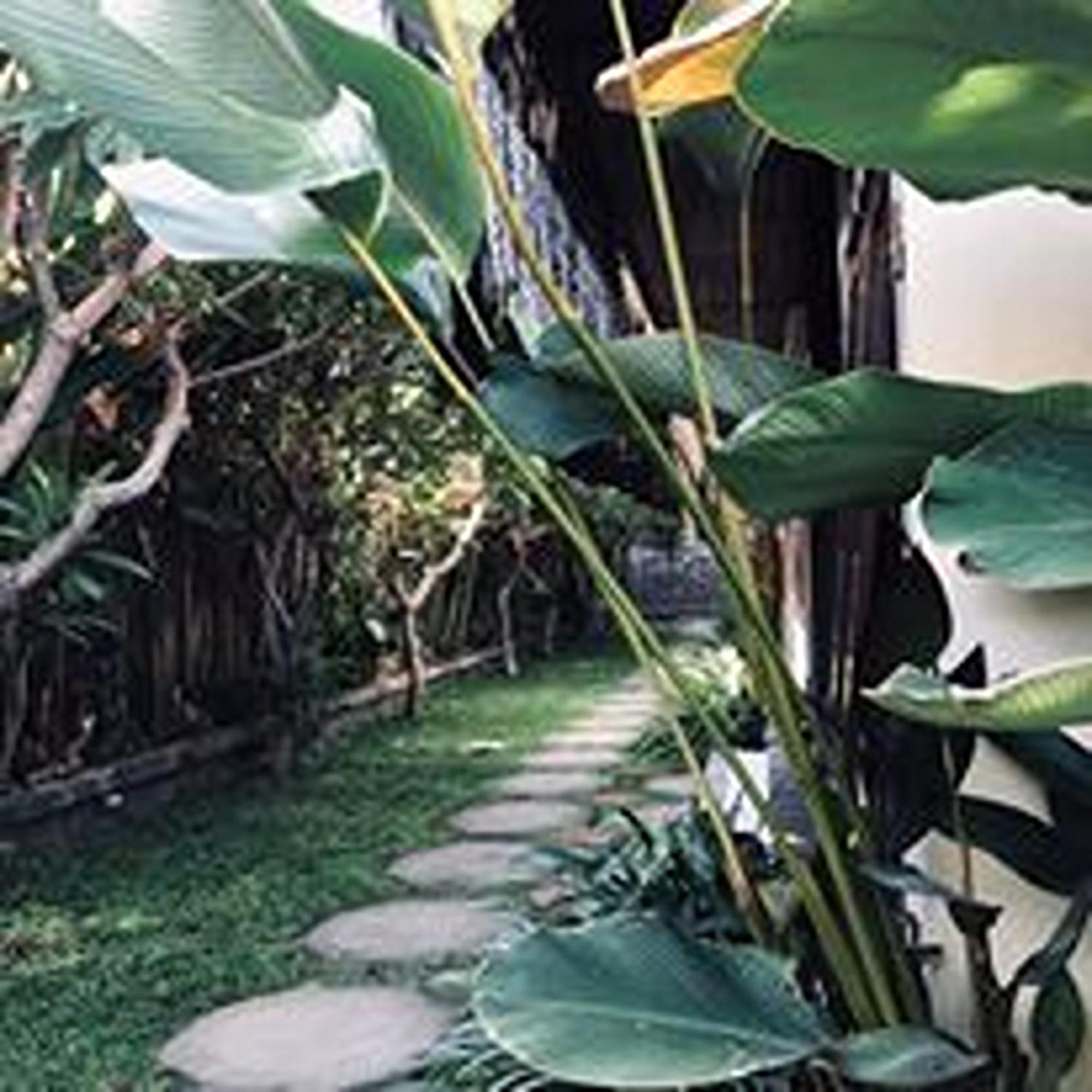 Mai Guest House Sanur Bagian luar foto
